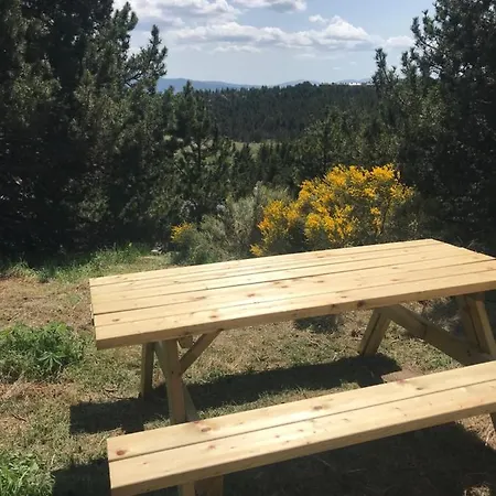 Caprices Des Cimes *